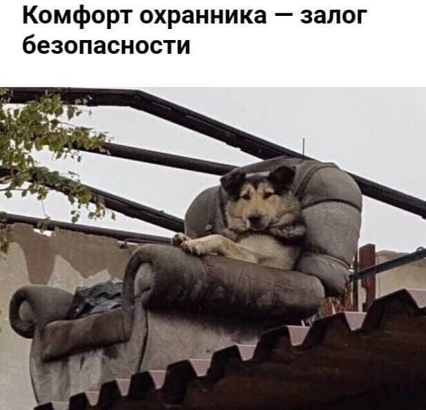 Комфорт охранника запог безопасности