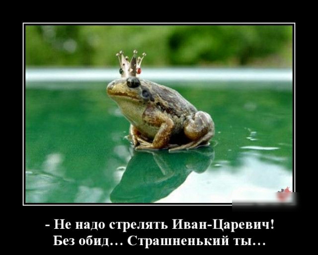 Не надо стрелять Иван Царевич Без обид Страшненький ты