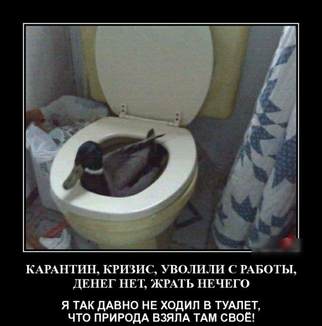КАРАНТИН КРИЗИС УВОЛИЛИ С РАБОТЫ ДЕНЕГ НЕТ ЖРАТЬ НЕЧЕГО Я ТАК ДАВНО НЕ ХОДИП В ТУАЛЕТ ЧТО ПРИРОДА ВЗЯПА ТАМ СВОЁ