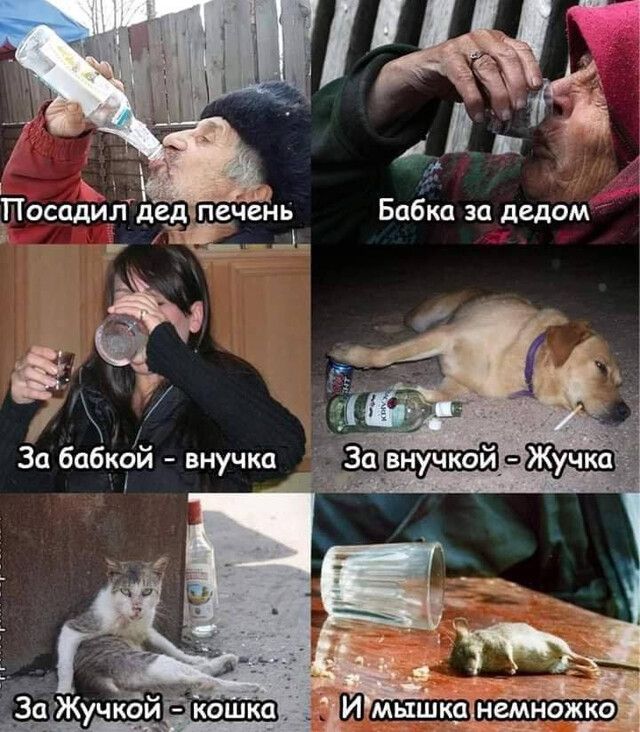 ЁЁ Бабка за дедом