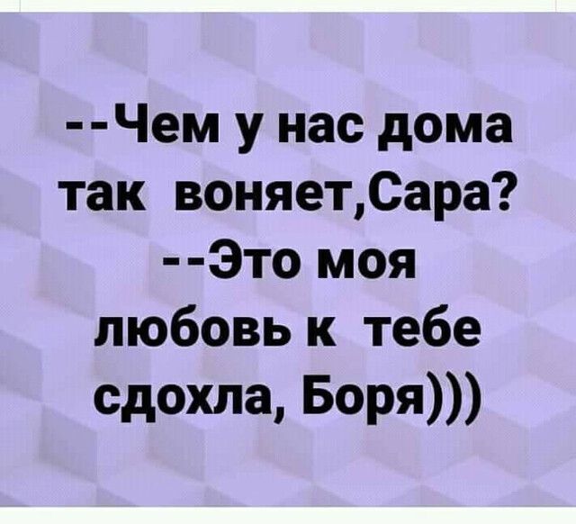 Чем у нас дома так воняетСара Это моя любовь к тебе сдохла Боря