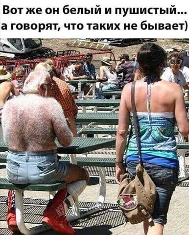 Вот же он белый и пушистый а говорят что таких не бывает