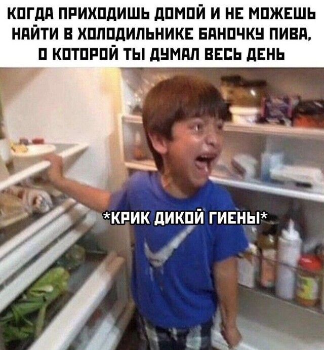 КПГдд ПРИХПдИШЬ дПМПИ И НЕ МПЖЕШЬ НАЙТИ В ХПППДИПЬНИКЕ ЕПНПЧКН ПИВП П КПТПРПИ ТЫ дНМПЛ ВЕСЬ дЕНЬ в М _г ч 5 КРИК дИКПЙ ГИЕНЫ 5