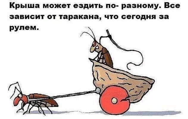 Крыша может ездить по разному Все зависит от таракана что сегодня за рулем