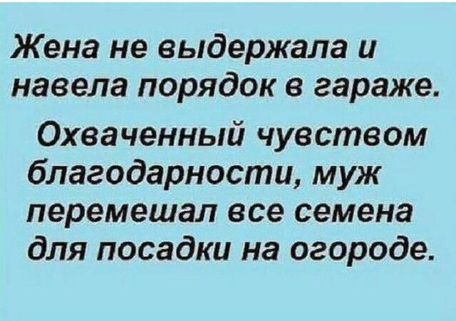 Жена не выдержала и навела порядок в гараже Охваченный чувством благодарности муж перемешал все семена для посадки на огороде