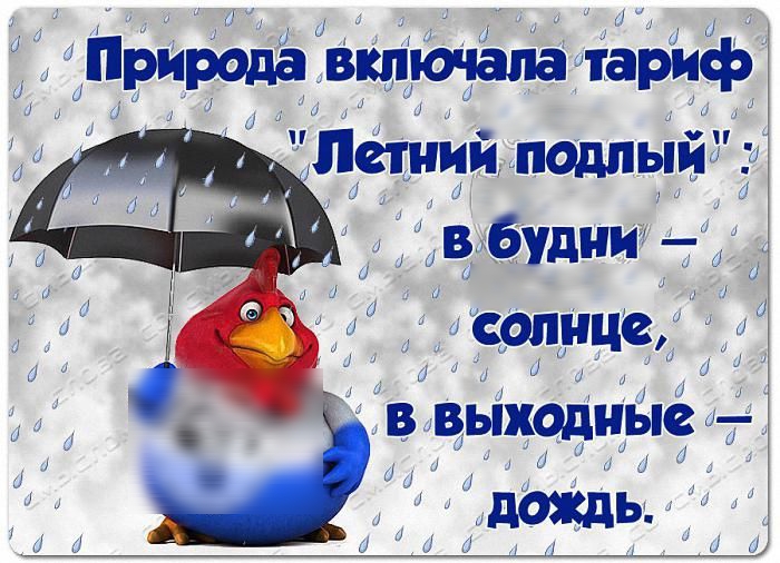 ь у м _ д у м В выходные ц у Ы Ц дождь