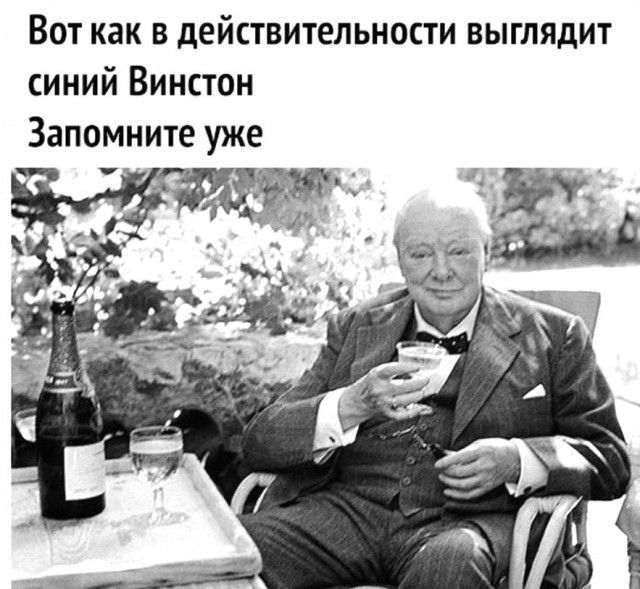 Вот как в действительности выглядит синий Винстон Запомните уже