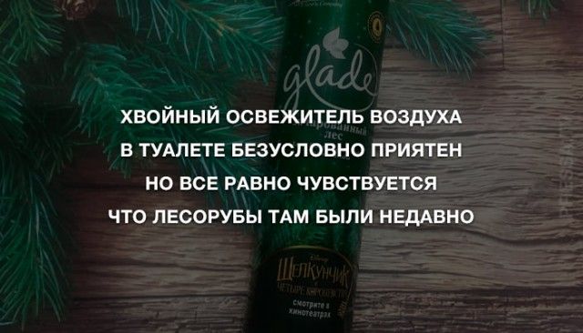хвойный освежитвпь везти в тудлете Безусловно приятен но все РАВНО чувствуется что лвсорувы ТАМ выпи неддвно