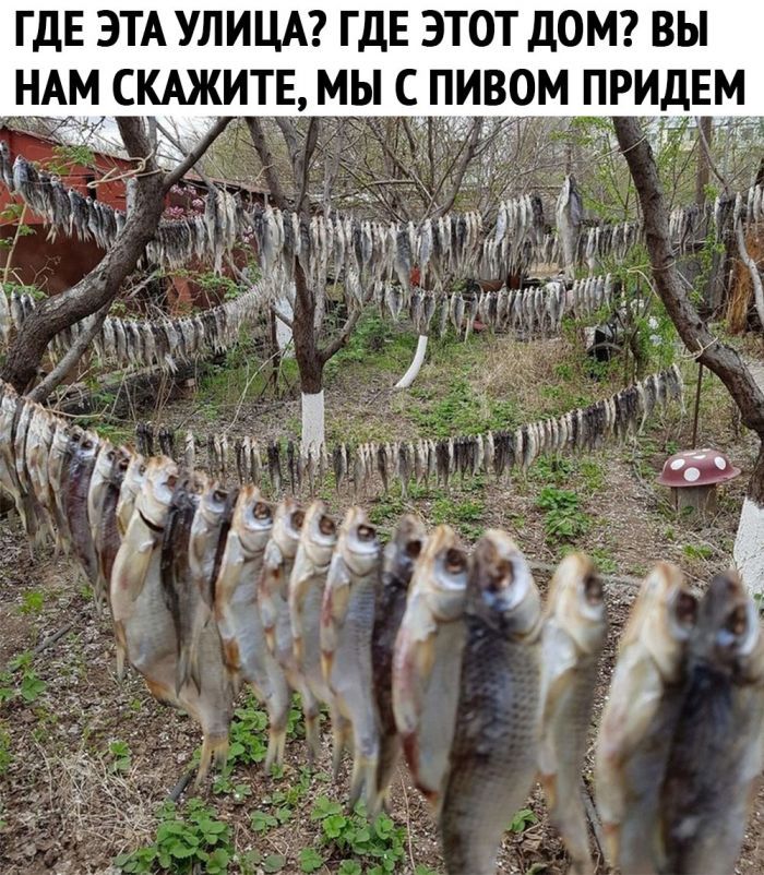 ГДЕ ЭТА УЛИЦА ГДЕ ЭТОТ ДОМ ВЫ НАМ СКАЖИТЕ МЫ С ПИВОМ ПРИДЕМ