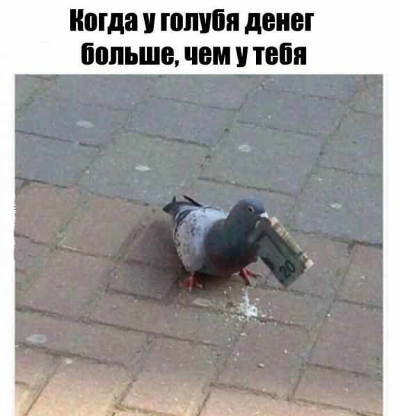 МД ШШШ денег ШШЬШВ ЧЕМ тебя