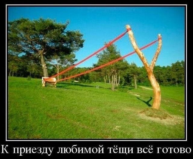 К приезду любимой тёщи всё готово
