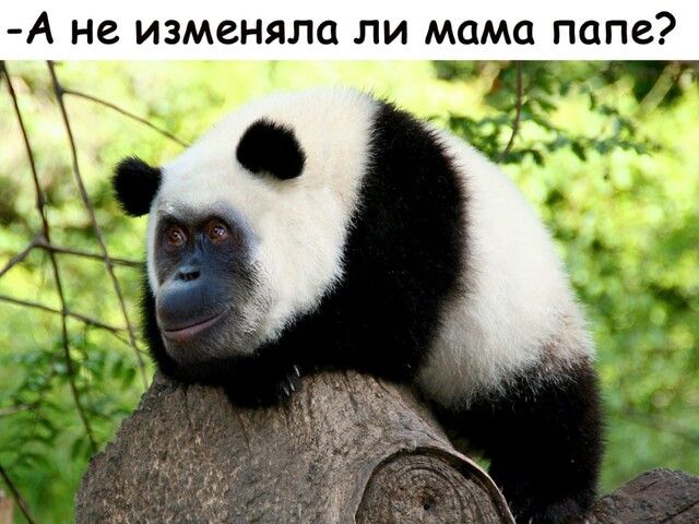 А не изменяла ли мама папе