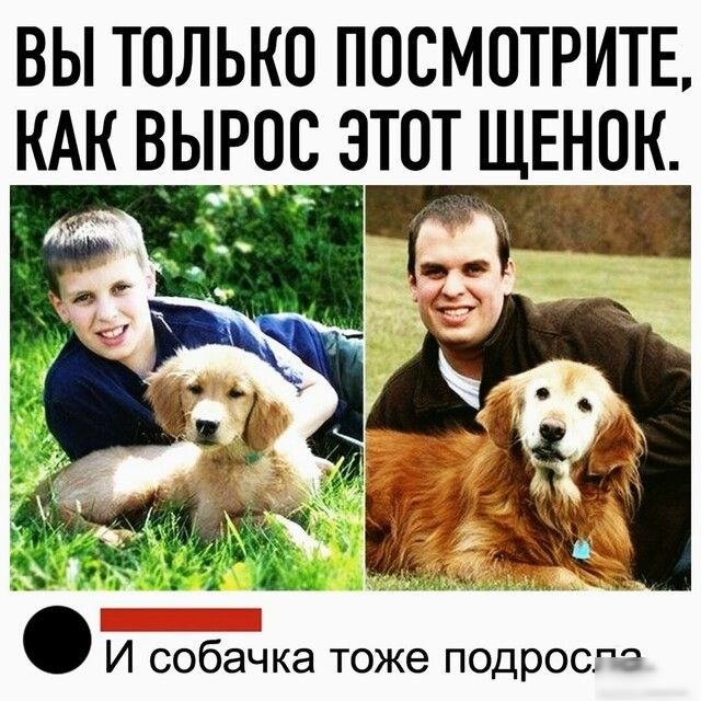вы только посмотритв КАК вырос этот ЩЕНОК _Ёі ь М а И собаЧка тоже подрос чз