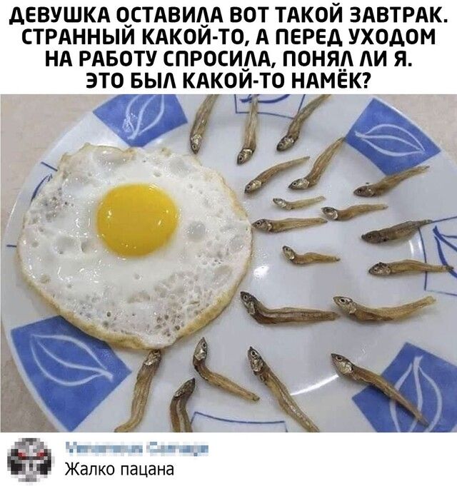 АЕВУШКА О_СТАвиАА вот ТАКОЙ ЗАВТРАК СТРАННЫИ КАКОИ ТО А перед уходом НА РАБОТУ спросим поняА Аи я это выл КАкоито НАМЕК г гад Жалко пацана