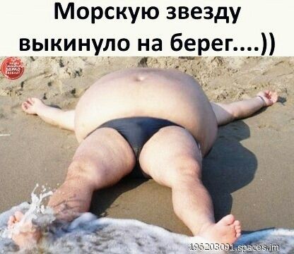 Морскую звезду выкинуло на берег
