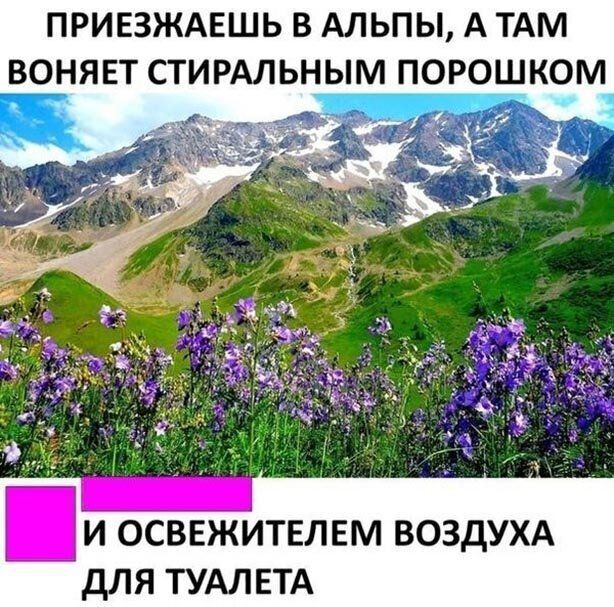 ПРИЕЗЖАЕШЬ В Альпы А ТАМ ВОНЯЕТ СТИРАЛЬНЫМ порошком И ОСВЕЖИТЕЛЕМ ВОЗДУХА дЛЯ ТУАЛЕТА