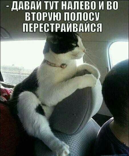 ДдВдИ ТУТ НдПЕВП И В БТПРЧЮ ШШШ ПЕРЕЦТРДИБДИСН _