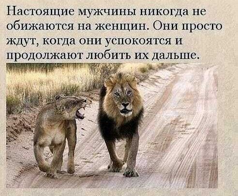 Настоящие мужчины никсгда не обижаются на женщин Они просто ищут когда они успокоятся и ПрОДОЛЖаЮТ ЛЮбгИТЬ ИХ дальше Мф __ _