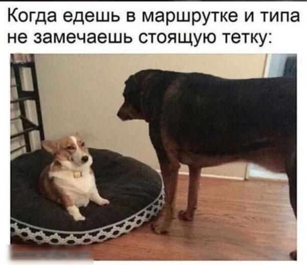 Когда едешь в маршрутке и типа не замечаешь стоящую тетку