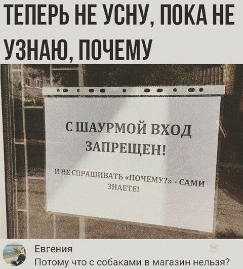 ТЕПЕРЬ НЕ усну покд НЕ ждндщпчвму с ШАУРМОЙ вход ЗАПРЕЩЕн и нс ЕЗЗЮШИВАГЬ почин зима 1 Е ёё Евгения 0 Потому что с собаками в магазин нельзя САМИ