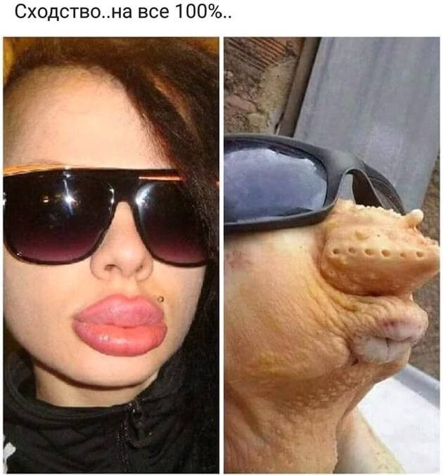 Сходствона все 100
