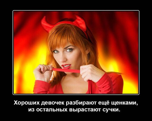 Хороших девочек разбирают ещё щенками из остальных вырастают сучки