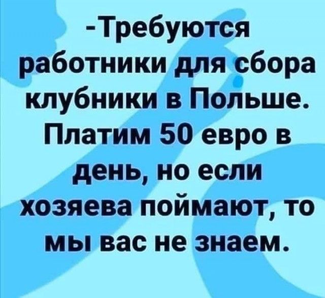 Требуются работники для сбора клубники в Польше Платим 50 евро в день но если хозяева поймают то мы вас не знаем