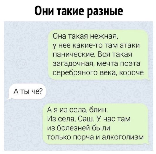 Они такие разные А ты че Она такая нежная у нее какие то там атаки панические Вся такая загадочная мечта поэта серебряного века короче А я из села блин Из села Саш У нас там из болезней были только порча и алкоголизм