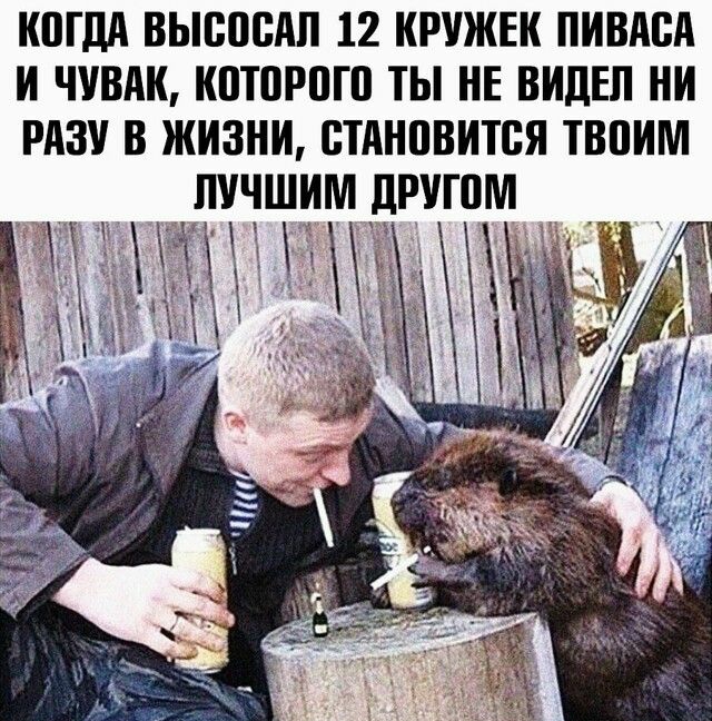 ИПГДА ВЫВПСАИ 12 ИРУЖЕК ПИВАВА И ЧУВАК ИПТПРПП ТЫ НЕ ВИДЕЛ НИ РАЗУ В ЖИЗНИ ВТАНЦВИТСЯ ТВПИМ ИУЧШИМ ЦРУШМ
