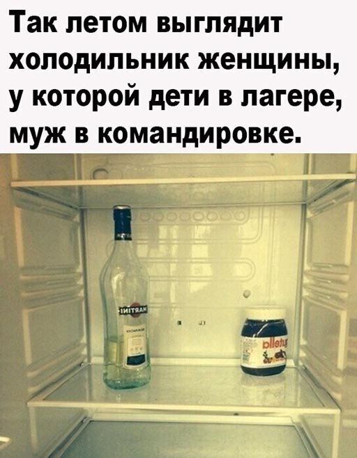 Так летом выглядит холодильник женщины у которой дети в лагере муж в командировке