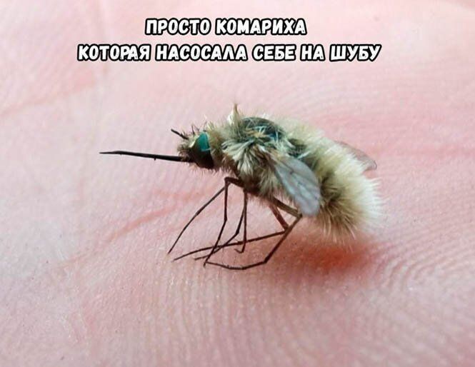 коидрихя котомя иАсосмА БЕЗШШШЗУ