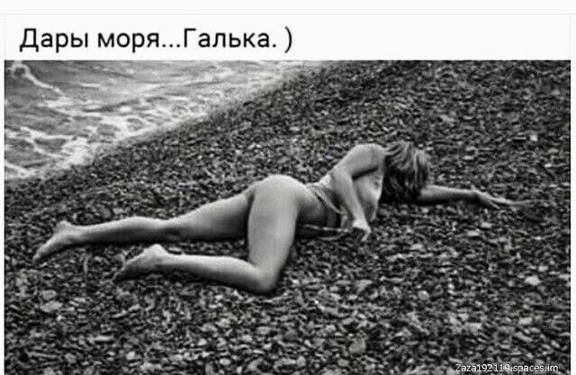 Дары моряГалька Е