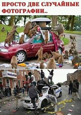 ПРОСТО дВЕ СЛУЧАЙНЫЕ ФОТОГРАФИИ ч мы