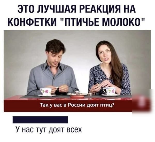 ЭТО ЛУЧШАЯ РЕАКЦИЯ НА КОНФЕТКИ ПТИЧЬЕ МОЛОКО Е __ ___ _ц Так у вас в России доят птиц У нас ТУТ ДОЯТ ВСЕХ