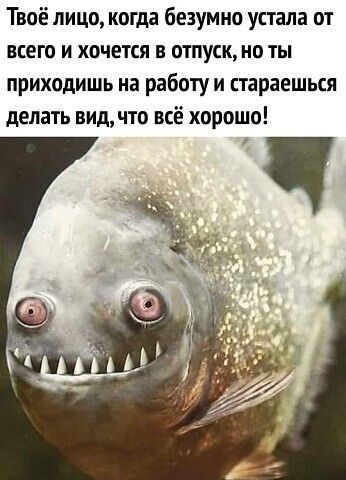Твоё лицо когда безумно устала от всего и хочется в отпуск но ты приходишь на работу и стараешься делать видчто всё хорошо