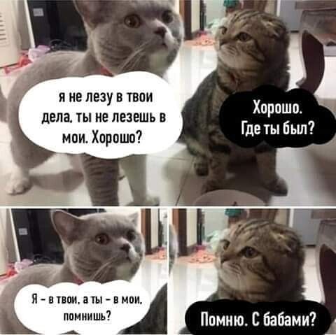 я не лезу в твои дела ты не лезешь мпи Хорошо Хорошо Где Бьш И вппцатынмпи Ти Помню С бабами