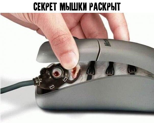 СЕКРЕТ МЫШКИ РАЕКРЬП