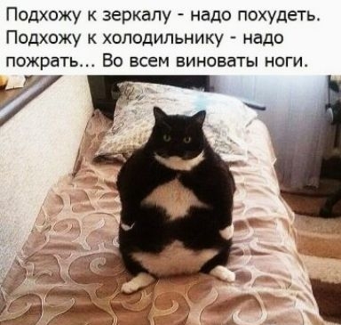 Подхожу зеркалу надо похудеть Подхожу к холодильнику надо пожрать Во всем виноваты ноги у
