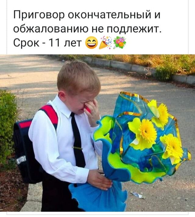 Приговор окончательный и обжалованию не подлежит Срок 11 лет 23