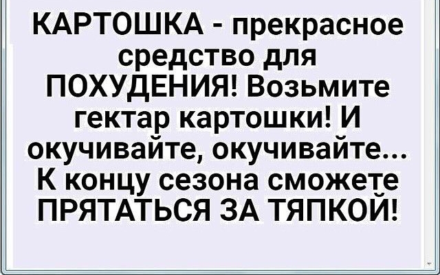 КАРТОШКА прекрасное средство для ПОХУДЕНИЯ Возьмите гектар картошки И окучивайте окучивайте К концу сезона сможете ПРЯТАТЬСЯ ЗА ТЯПКОЙ