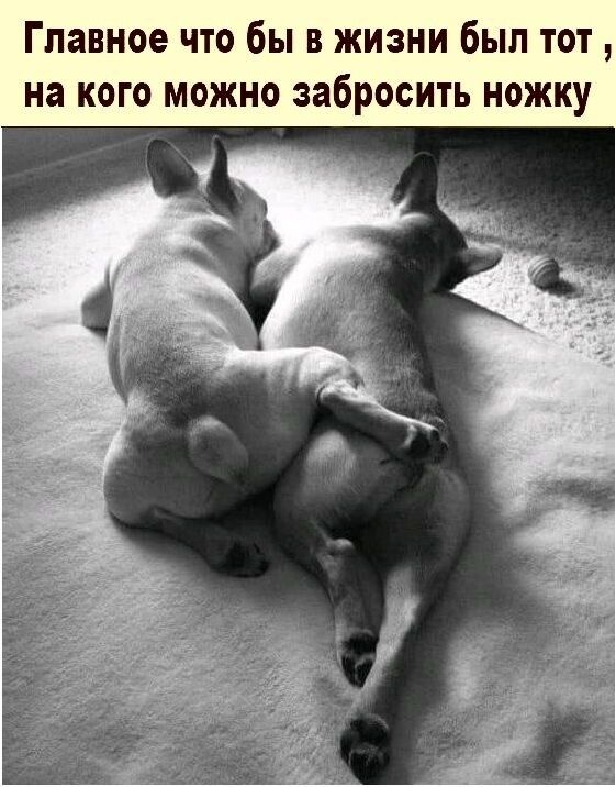 Главное что бы в жизни был тот на кого можно забросить ножку