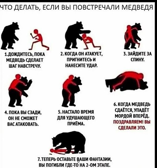 ЧТО ДЕЛАТЬ ЕСЛИ ВЫ ПОВСТРЕЧАЛИ МЕДВЕДЯ АЬд 1дождиткь покд 1 когдд он ликует 5 здйдитв зд медведь сделш пригнитвсь и спину шдг НШПРЕЧУ ншвситв уши в КОГДА мщвыь 4 под вы шли 5 ндшло время Ш упщЕт он НЕ сможп для длшушдющно ПЗЗЗЗЕЛЁЁЕЁЫ мс АТАКОВАТЬ приЕмд сдвлши это 7 ТЕПЕРЬ ОСТАВЬТЕ АШИ ФАНТАЗИИ ВЫ ПОГИБЛИ ГдЕТО МА 2 0М ЭТАПЕ