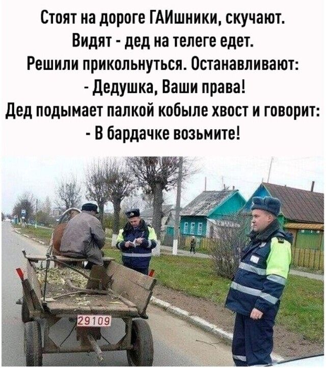 Стоят на дороге ГАИшники скучают Видят дед на телеге едет Решили прикольнуться Останавливают дедушка Ваши права Дед подымает папкой кобыле хвост и говорит В бардачке возьмите