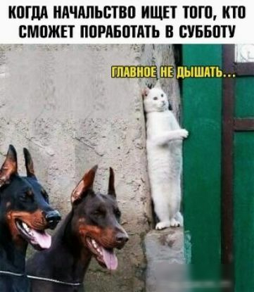 КШМ НЛЧАПЬШВП ИЩЕТ ТПП КТП БМПЖН ППРАБЩАТЬ В 011550 у