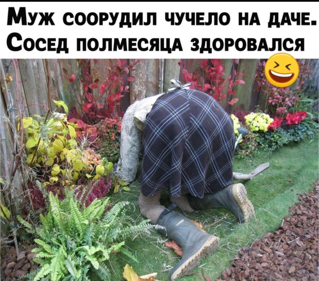 Муж соорудил чучело НА дАЧЕ Сосвд п