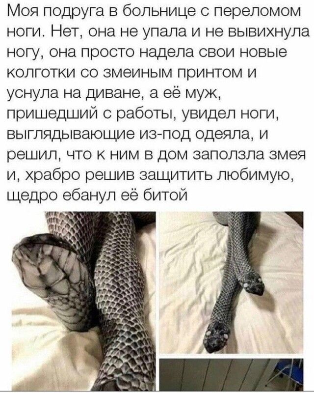 Моя подруга в больнице с переломом ноги Нет она не упала и не вывихнула ногу она просто надела свои новые колготки со змеиным принтом и уснула на диване а её муж пришедший работы увидел ноги выглядывающие из под одеяла и решил что к ним в дом заползла змея и храбро решив защитить любимую