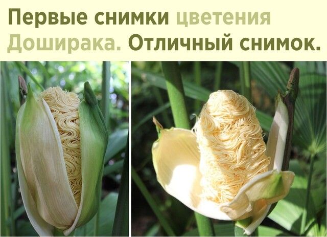 Первые снимки ч 15 ОТЛИЧНЫЙ СНИМОК