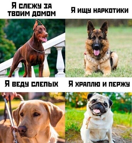 Я лЕжн зд твпим дпмпм П ищи нппкптики __