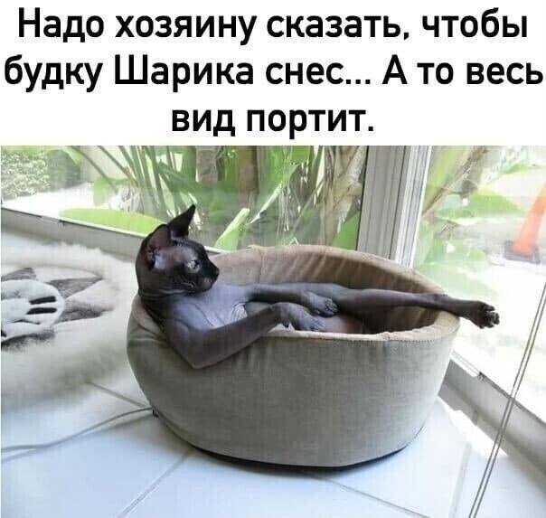 Надо хозяину сказать чтобы будку Шарика снес А то весь вид портит
