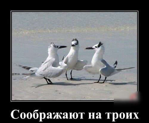 Соображают на троих